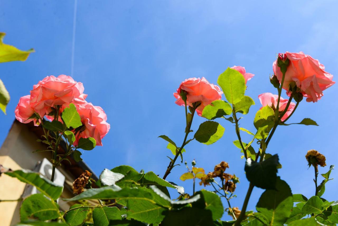 Appartement Les Hortensias *
